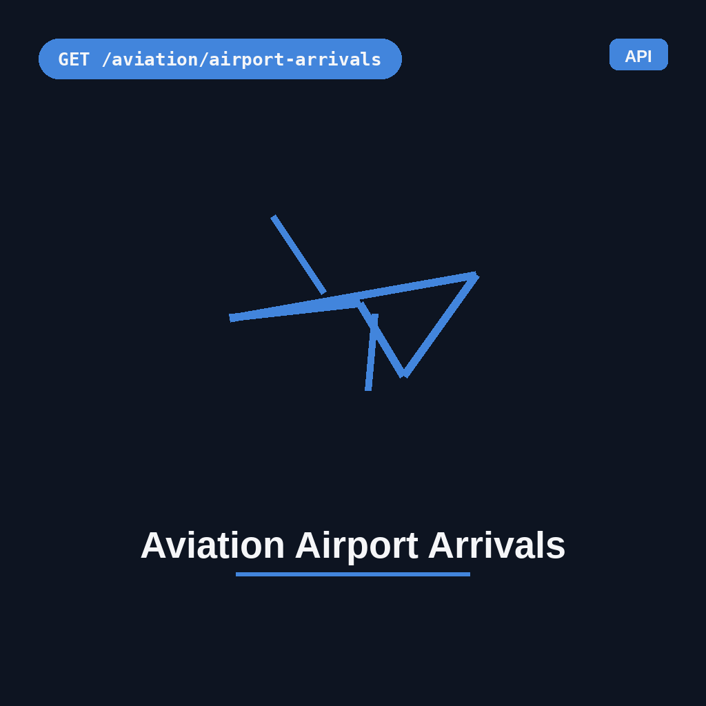 Aviation Airport Arrivals