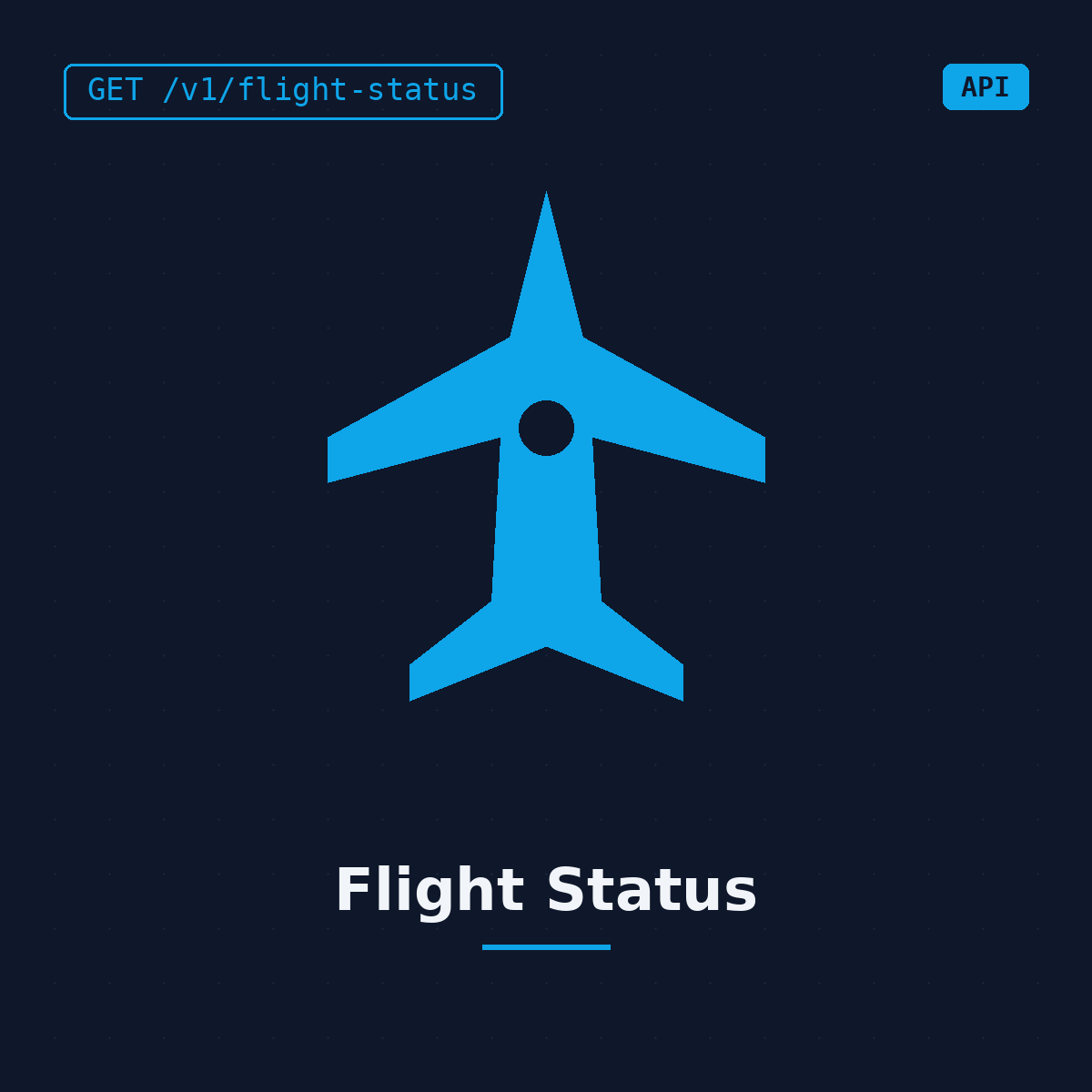 Aviation Flight Status