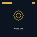 Hanzi T2s