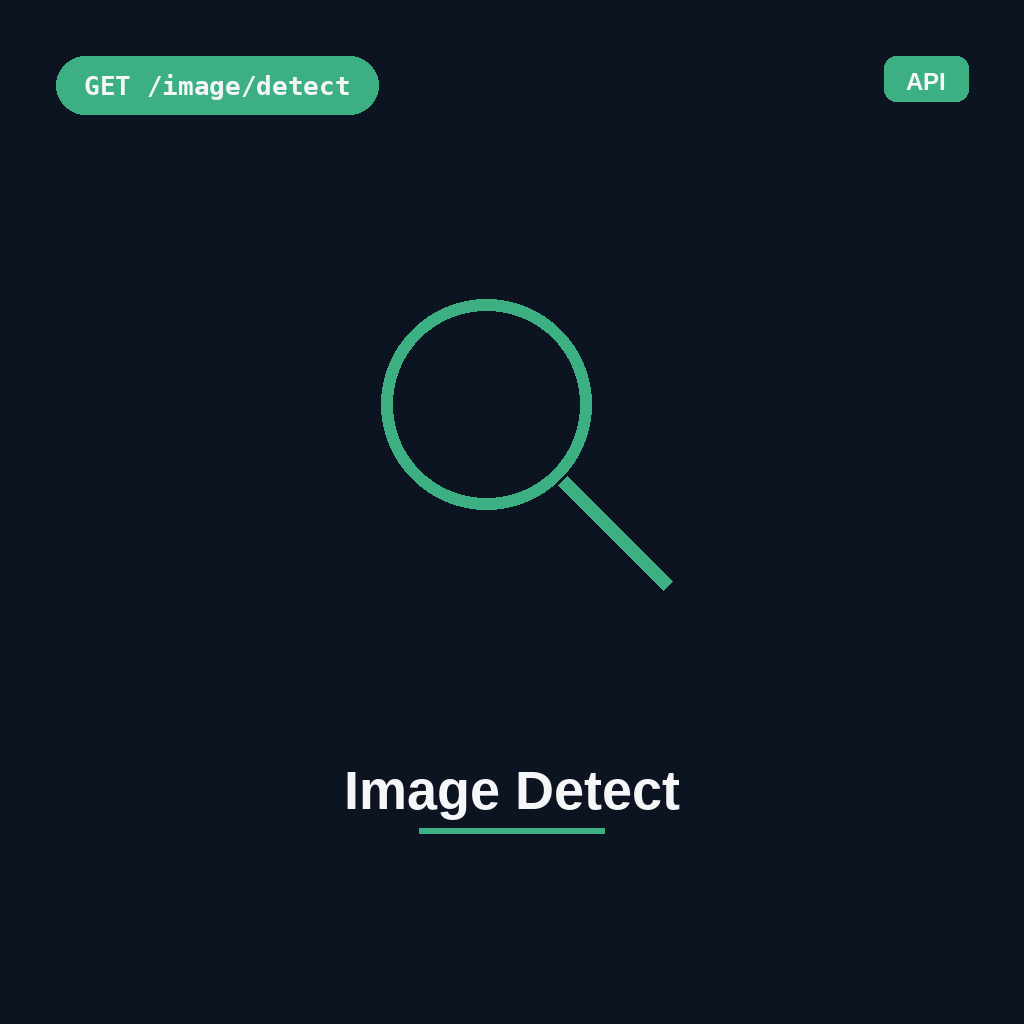 Image Detect