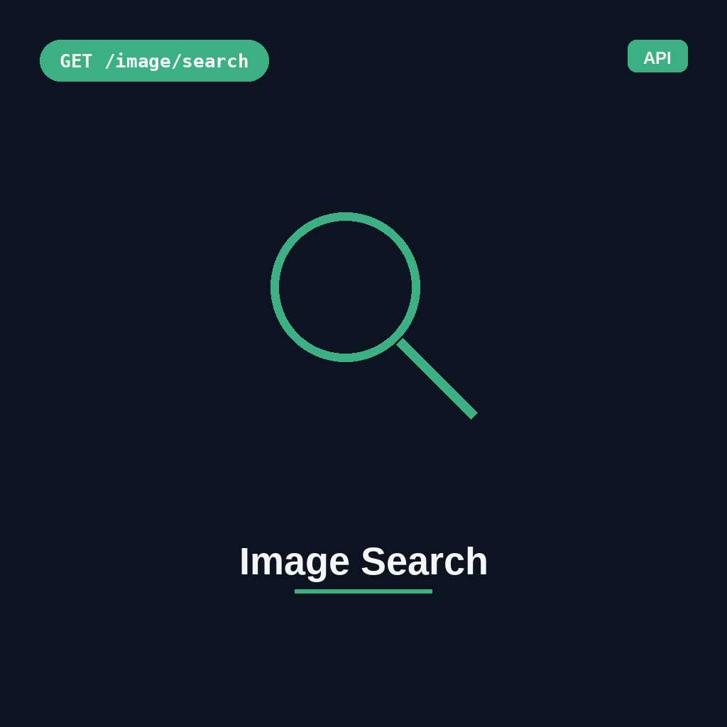 Image Search