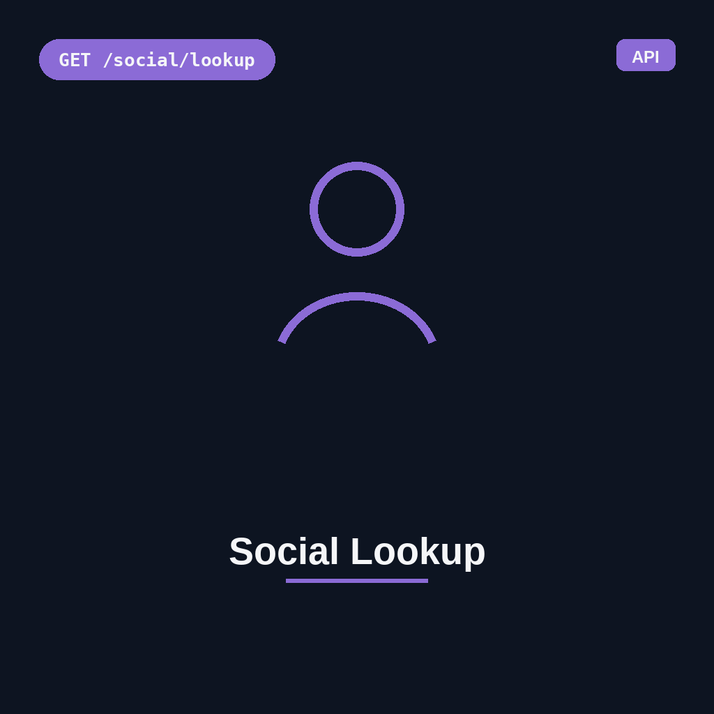 Social Lookup