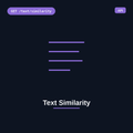 Text Similarity