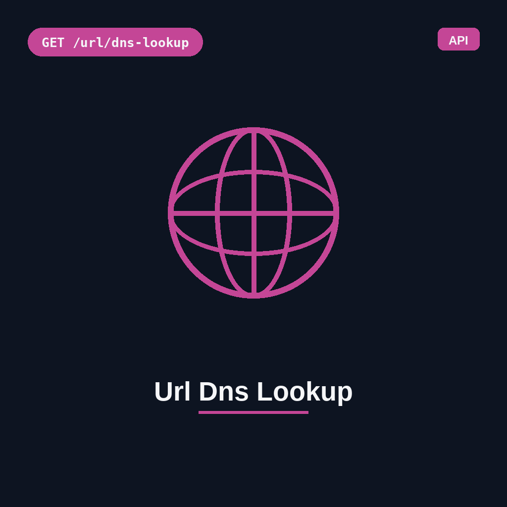 Url Dns Lookup